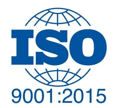 Our standards logo4